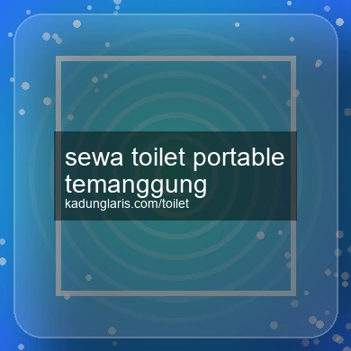 sewa-toilet-portable-temanggung-1756160602-8a108182