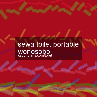 sewa-toilet-portable-wonosobo-1756160607-27721caf