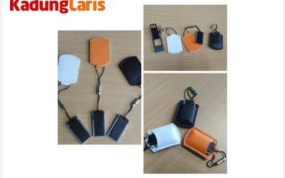 Jual Flashdisk Souvenir Tangerang Selatan Harga Murah Awet