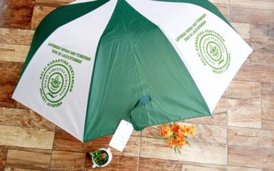 Jual Souvenir Payung Promosi Murah Jakarta Pusat Untuk Souvenir Perusahaan