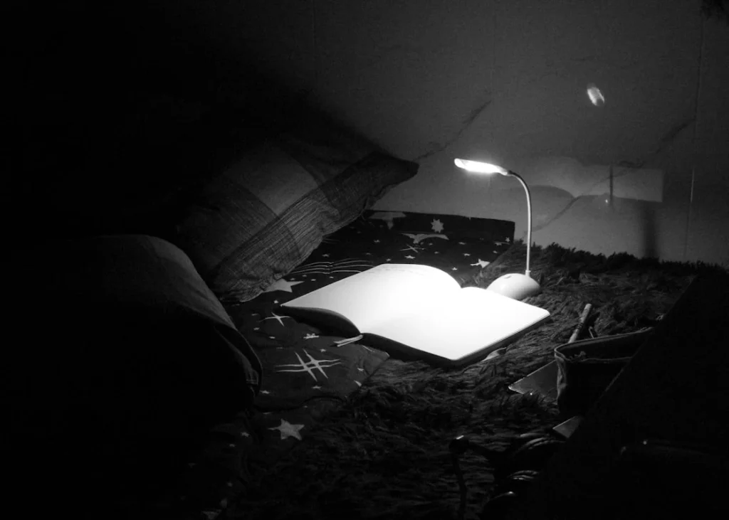 Pengenalan Sewa Tenda Outdoor