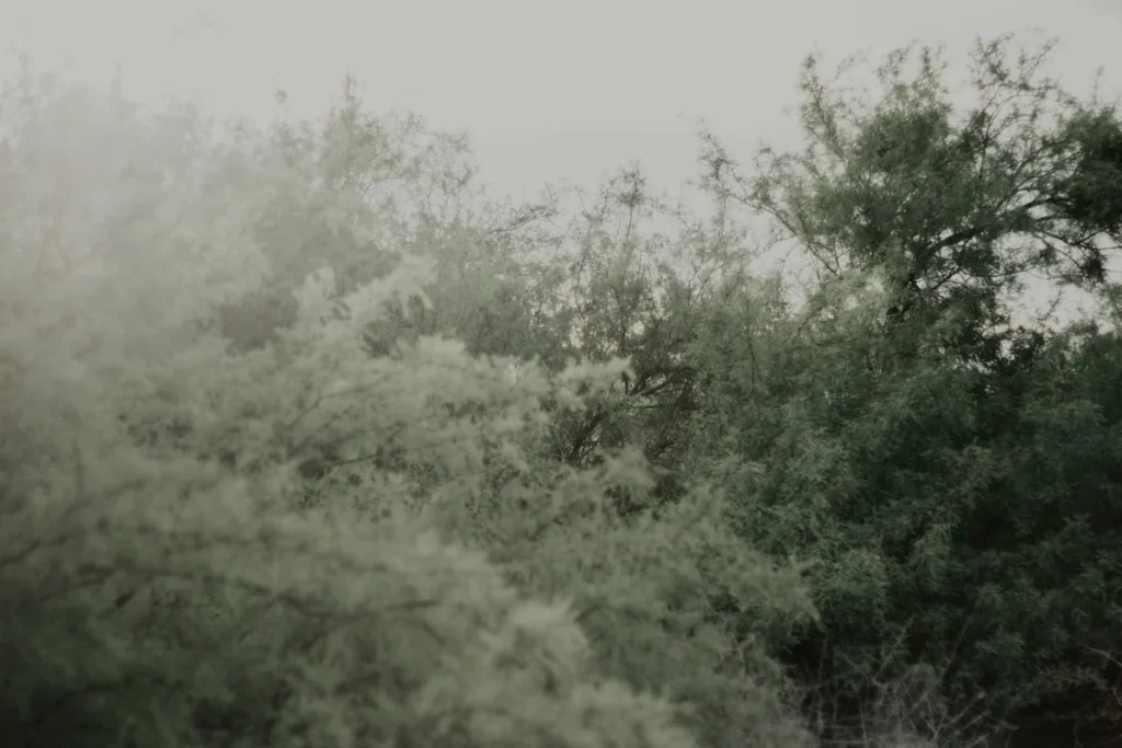 Pengantar tentang Jogja dan Keunikan Akhir Pekan