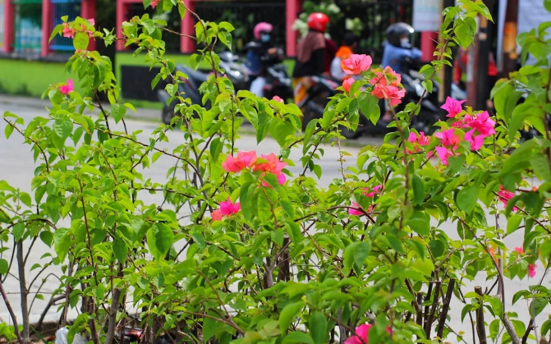 Jelajah Event Seru di Semarang: Dari Budaya hingga Hiburan Modern