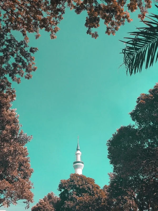 Pengenalan tentang Sewa Sound System