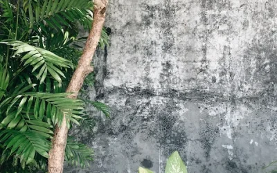 Backdrop Outdoor Solo: Material Tebal dan Tahan Cuaca untuk Acara Anda