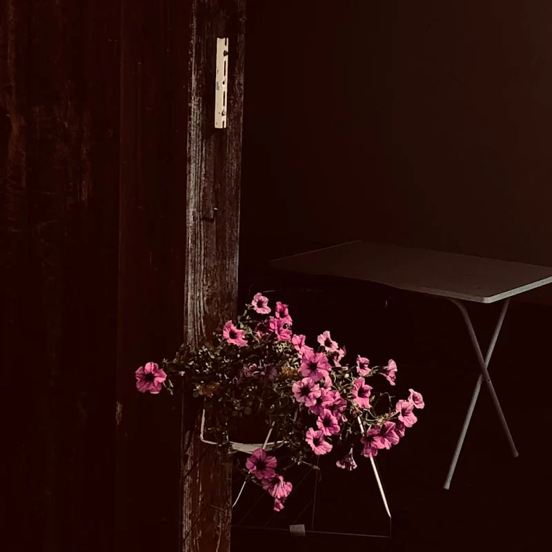 Pengenalan Backdrop Corporate Solo