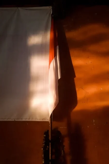 Kenapa Acara Besar di Jogja Sekarang Wajib Pakai LED Screen? Temukan Alasannya!