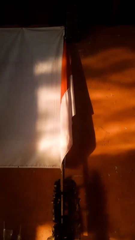 Pengalaman Visual yang Menakjubkan