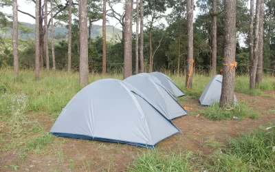 Panduan Ukuran Tenda Ideal untuk Acara 100, 200, hingga 500 Undangan di Jogja