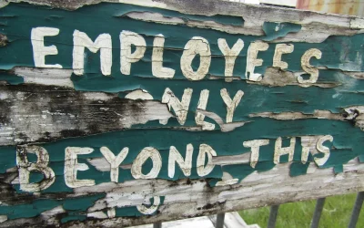 7 Manfaat Tim Building untuk Kinerja Karyawan yang Terbukti Efektif