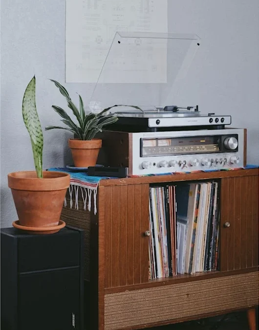 Sound System Indoor vs Outdoor: Pilihan Terbaik untuk Acara di Solo